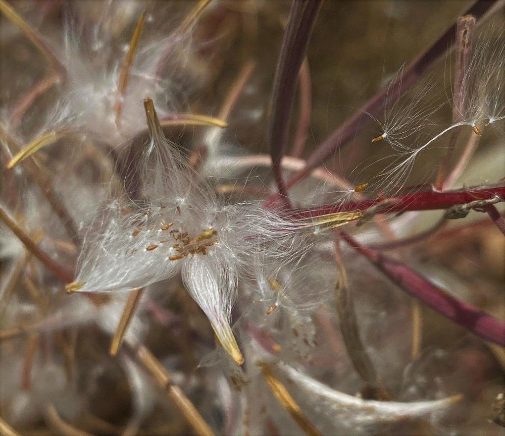 Photograph by Евгения Казакова