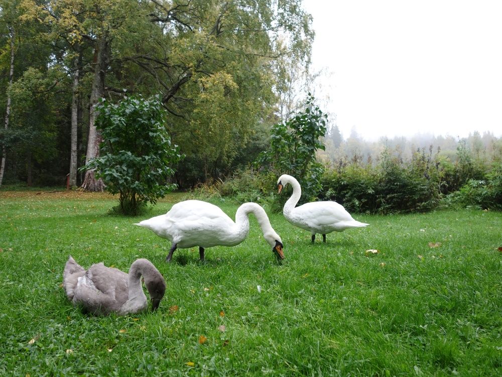 Photograph by Василий Селиванов