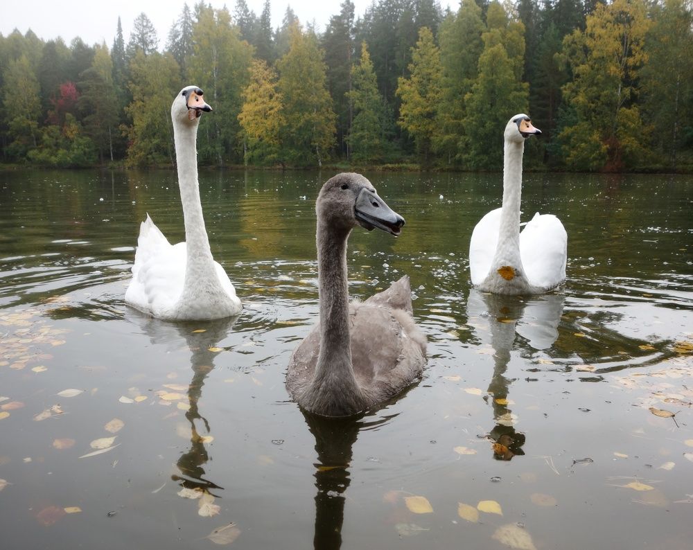 Photograph by Василий Селиванов