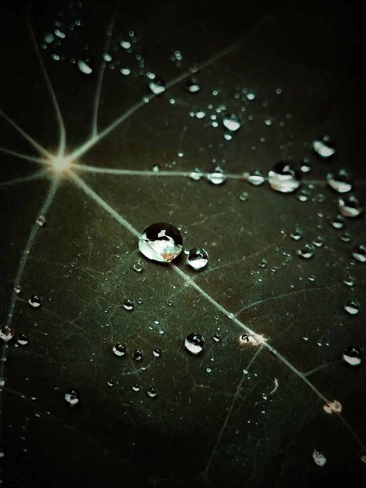 Photograph by Hanna Bourne