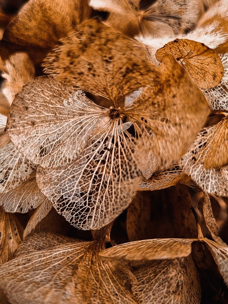 Photograph by Hanna Bourne