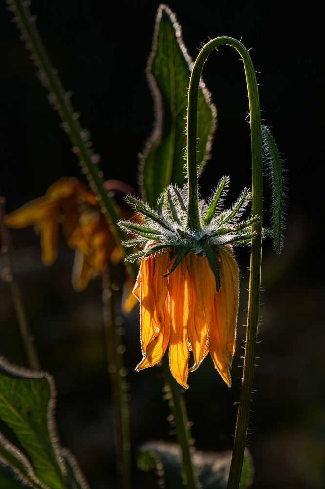 Photograph by Наталья Заровнева