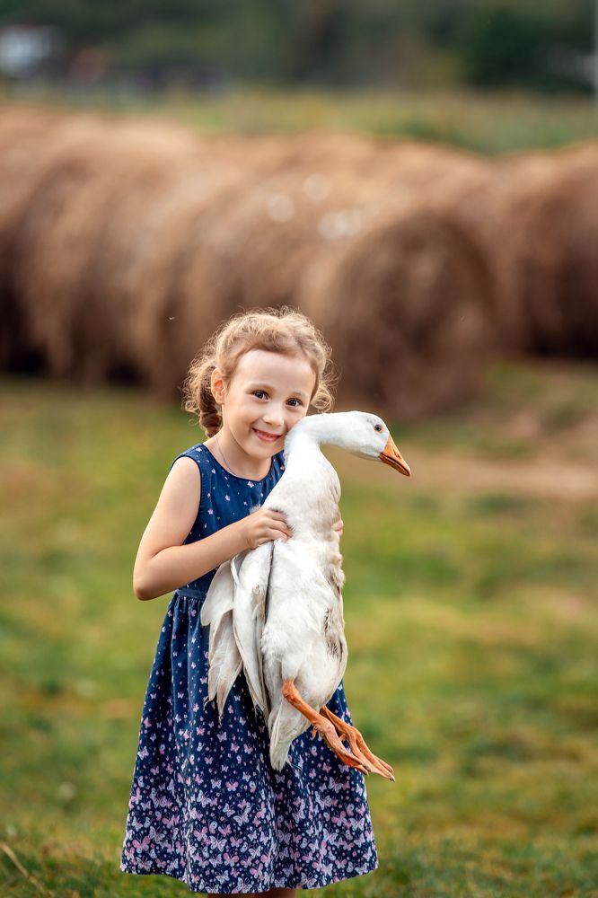 Photograph by Анастасия Стегниенко