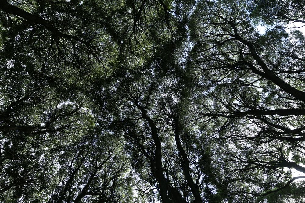 Photograph by Унку Юрий