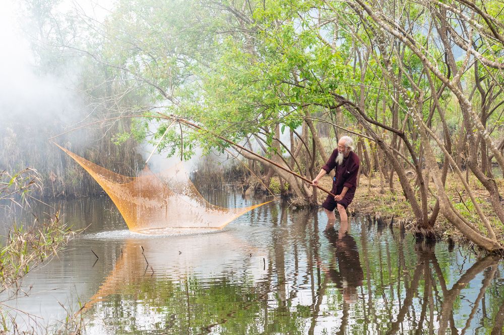 Фотография автора Sơn nguyễn ngọc