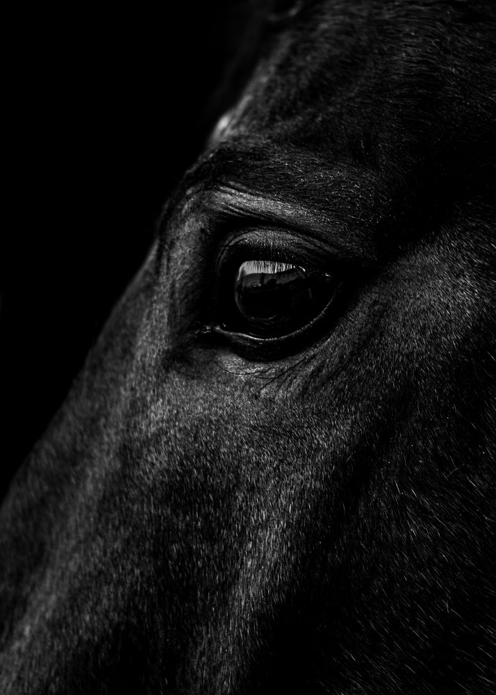 Photograph by Evgeniya Stafeeva