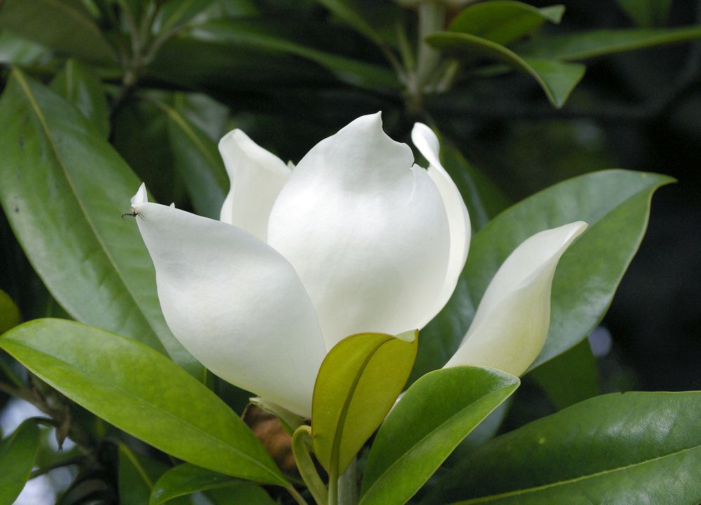 Photograph by Роман Приходько