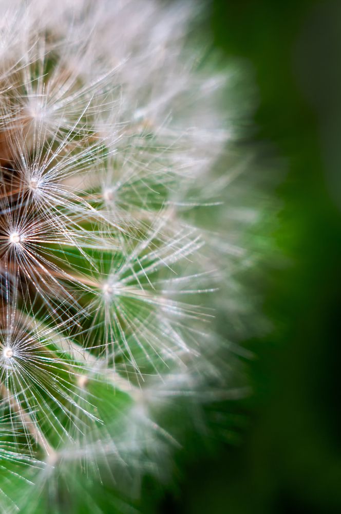 Photograph by Роман Приходько