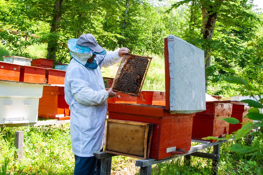 Photograph by Роман Приходько