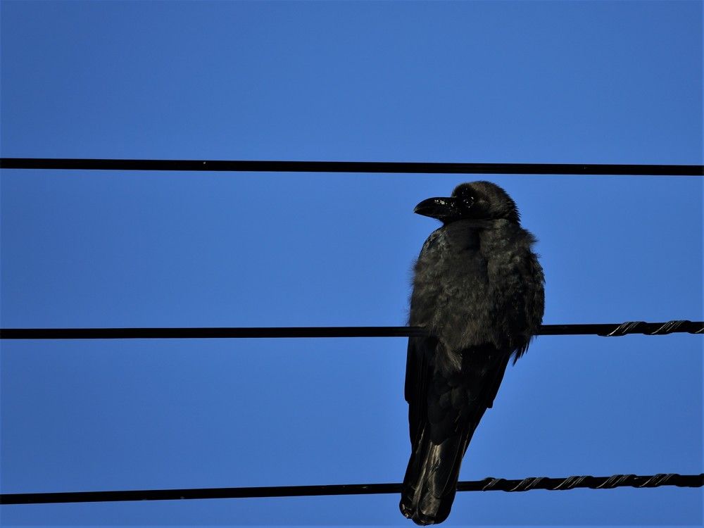 Photograph by Евгения Казакова