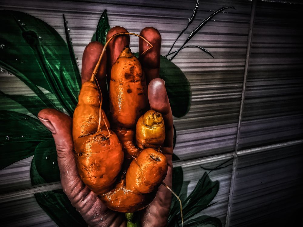 Photograph by Колоскова Мария