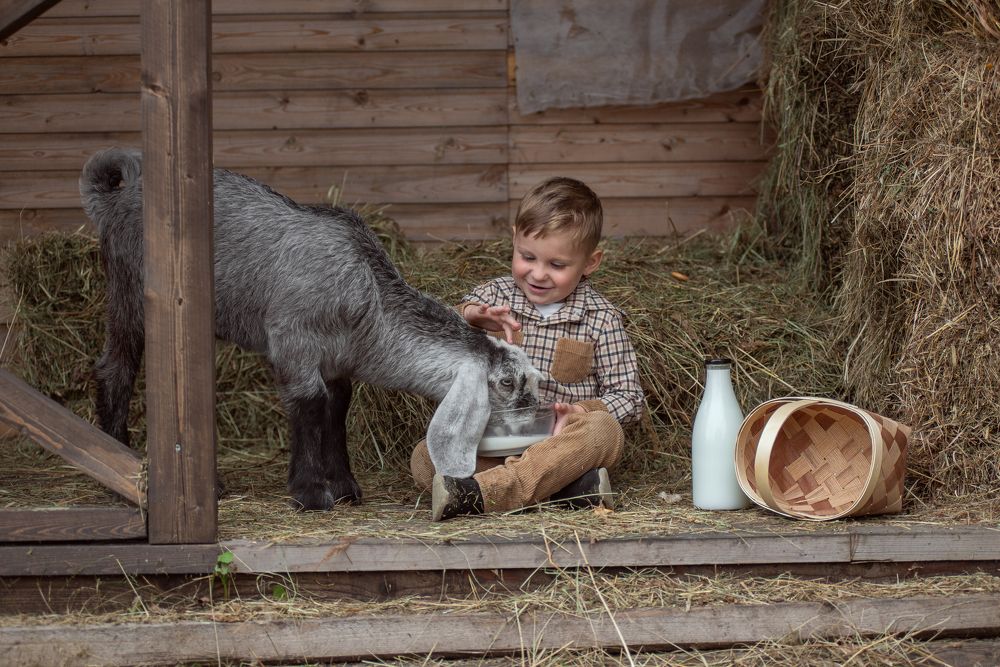 Photograph by Татьяна Рыбцева