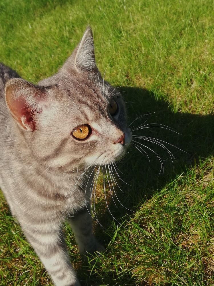 Photograph by Наталья S.