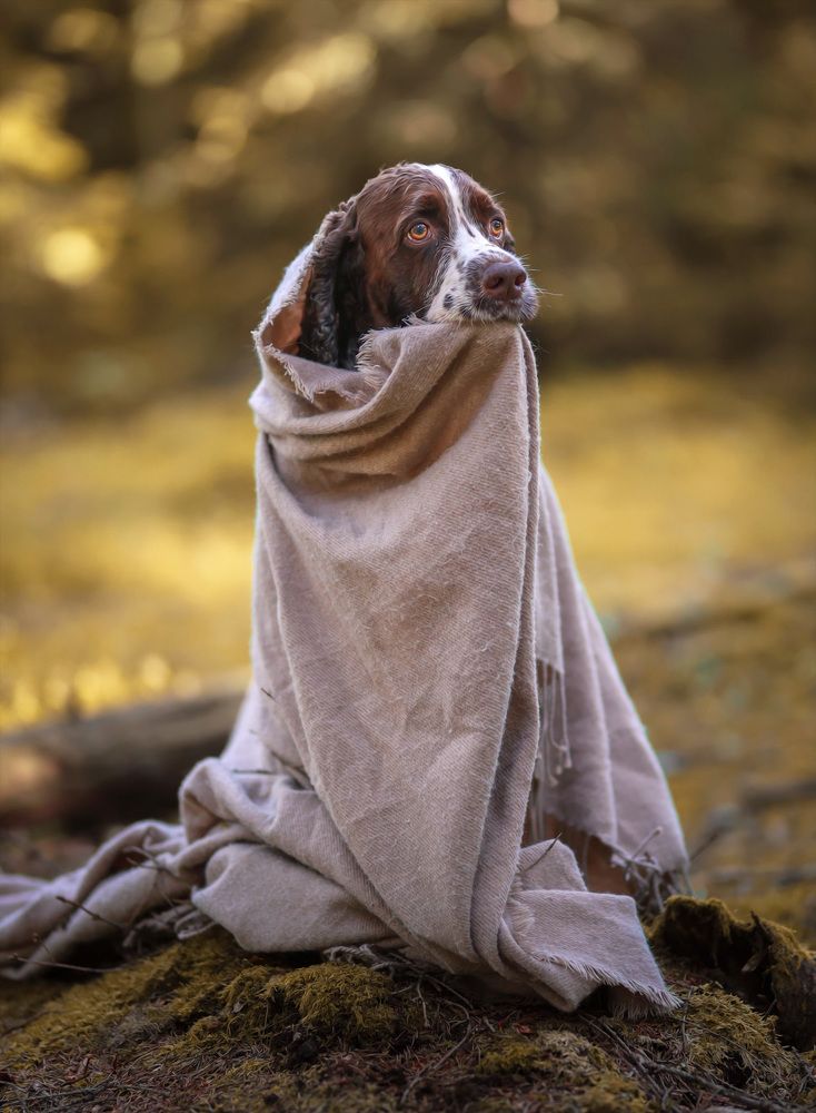 Photograph by Karin Netterblad Netterblad