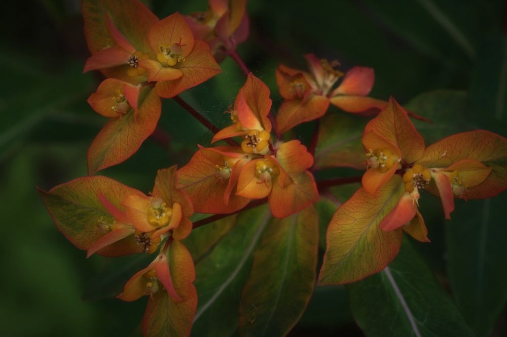 Photograph by Колоскова Мария