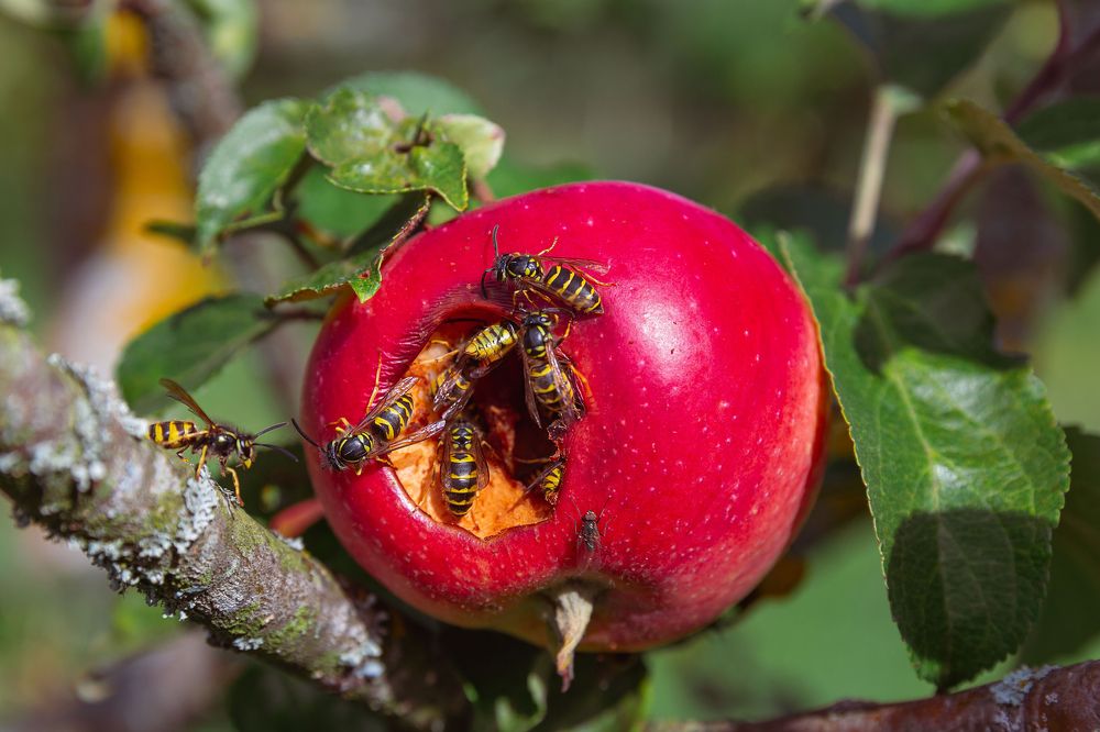 Photograph by Наталья