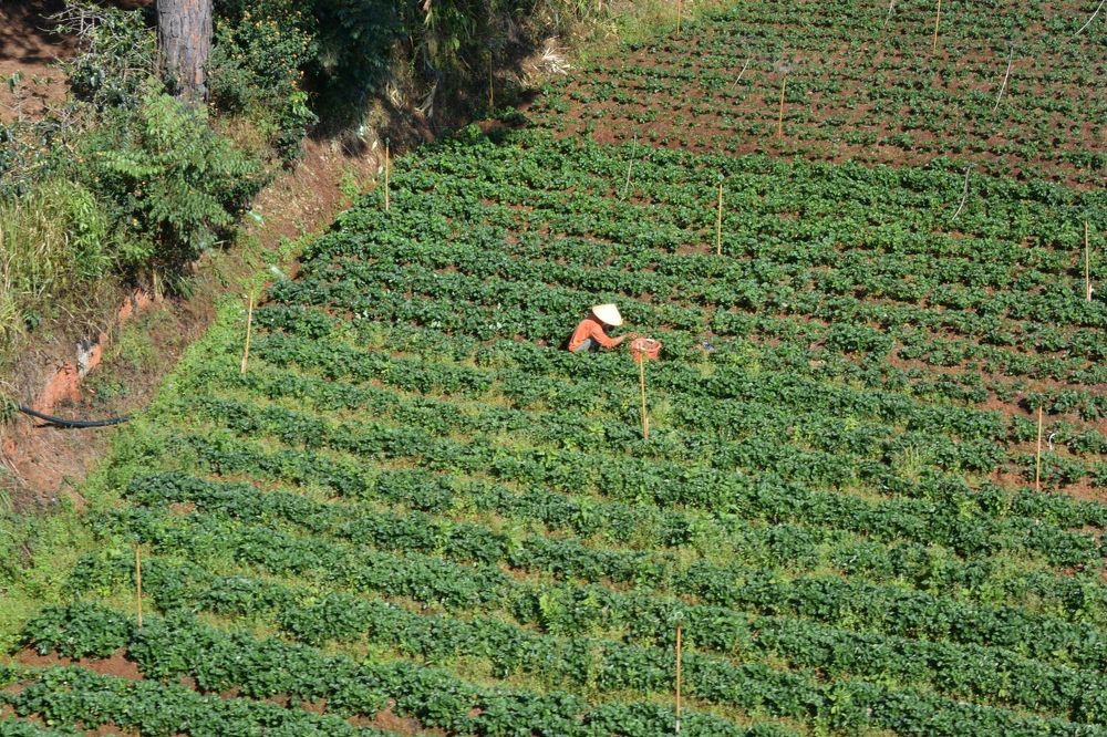 Photograph by Александр Карпенко