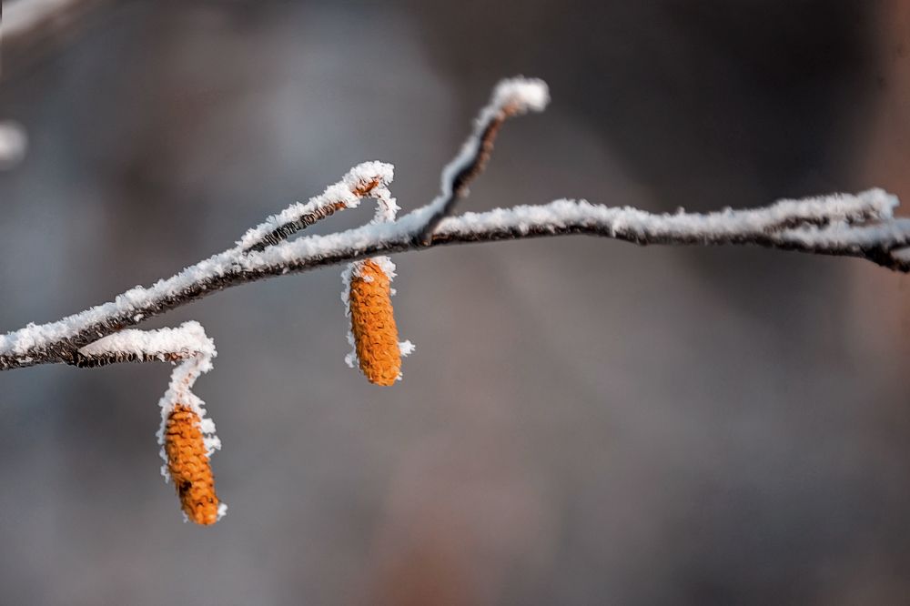 Photograph by Александр Шипиленко