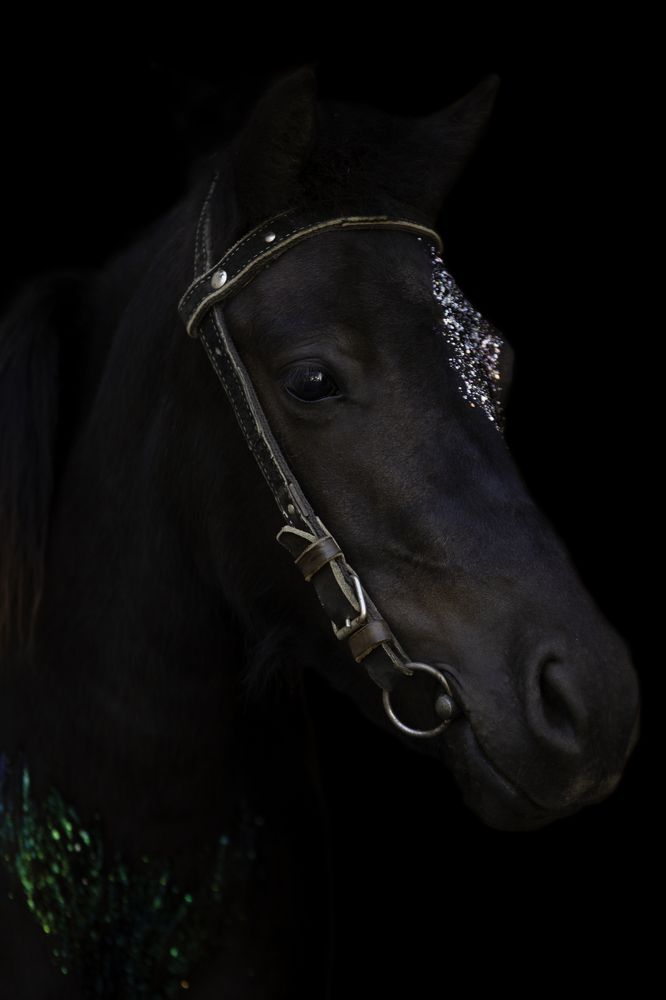 Photograph by Голомако Ирина