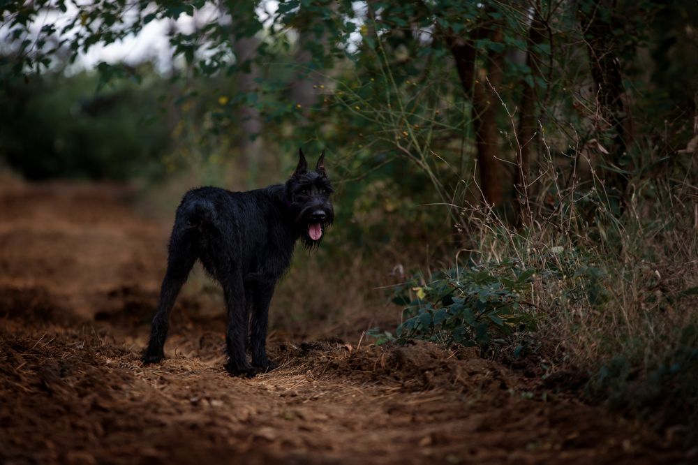 Photograph by Голомако Ирина