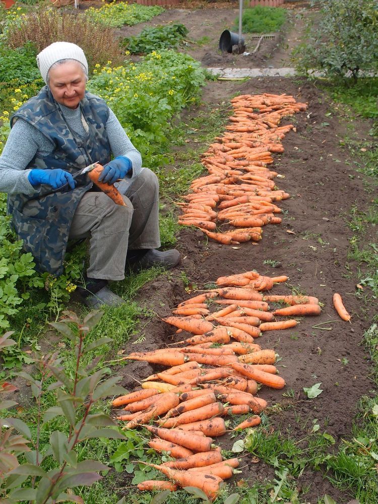 Photograph by Александр Карпенко
