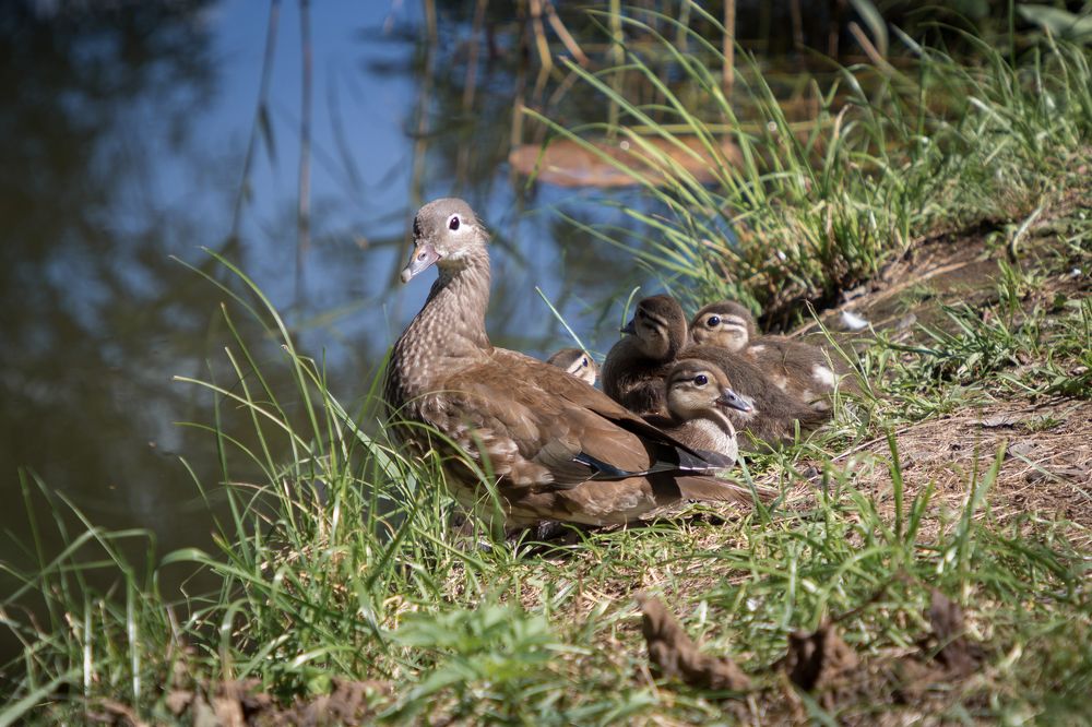 Photograph by Елена Кондратьева