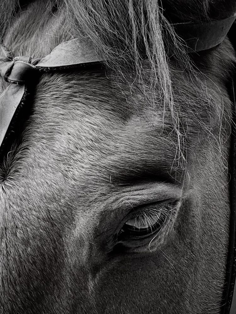 Фотография автора Татьяна Семёнова