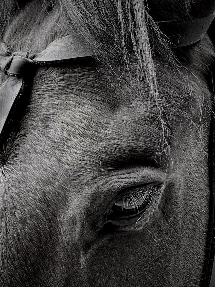 Photograph by Татьяна Семёнова