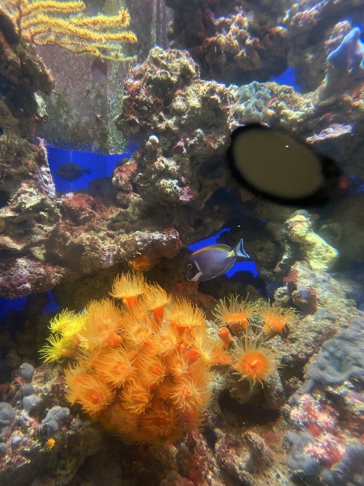 Photograph by Наталья Онофренчук