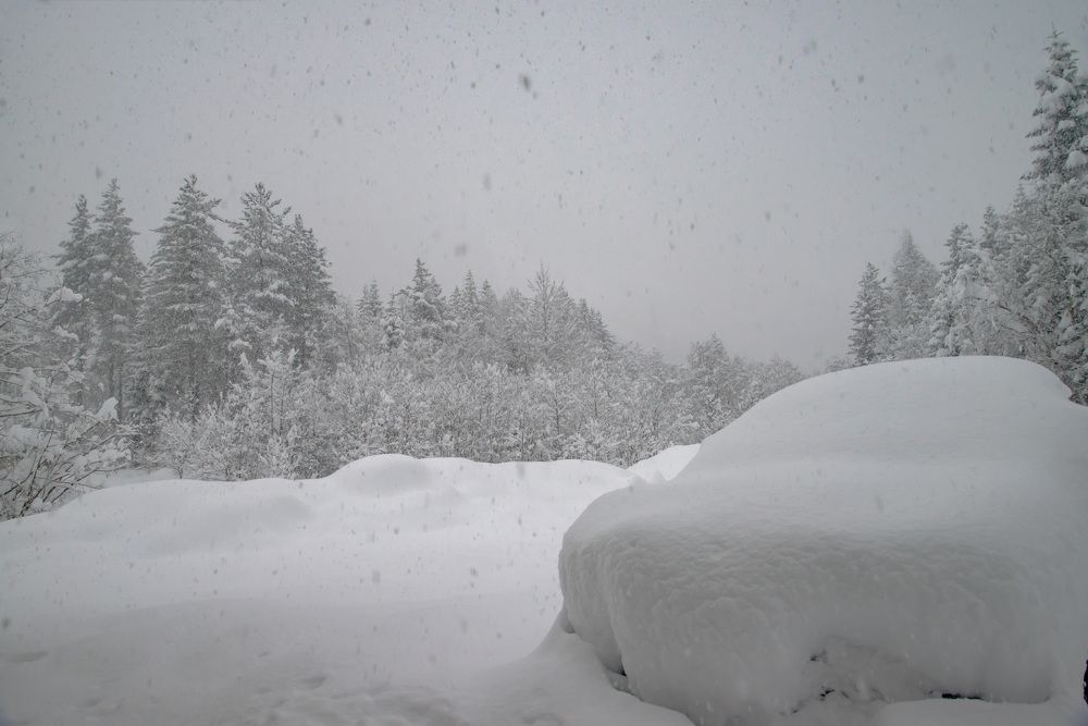 Photograph by Римма Волченко