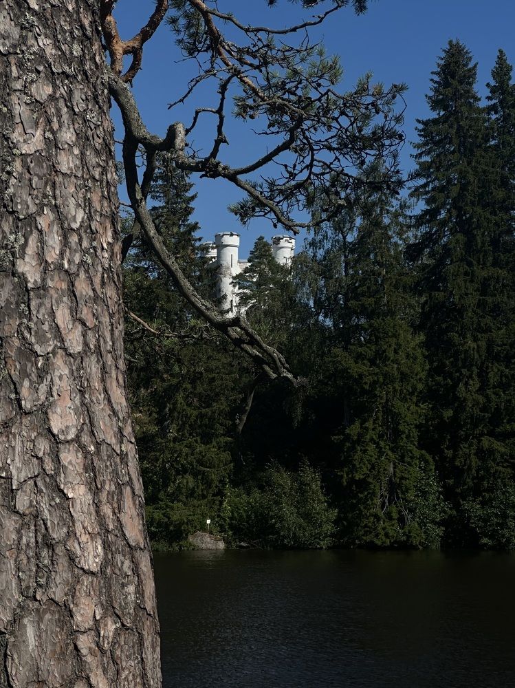 Photograph by Анна Мышкина