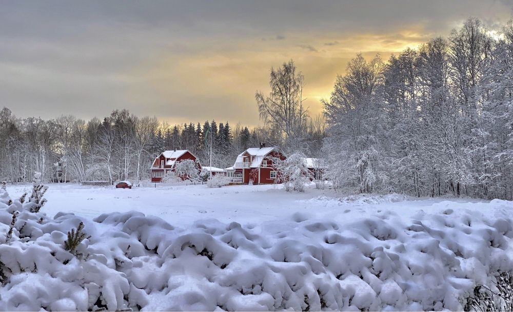 Photograph by Janina Segeda