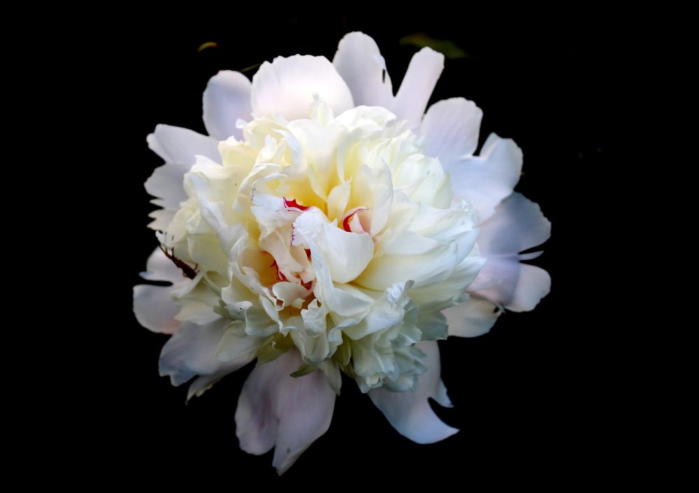 Photograph by Глеб Кузьминых