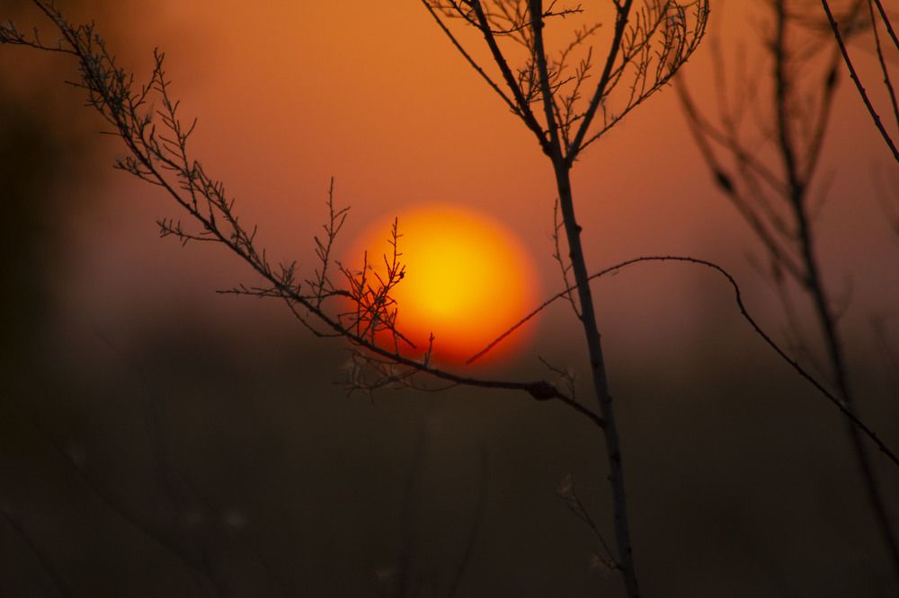 Photograph by Ольга Колокольникова