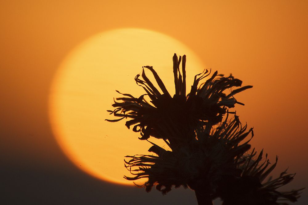 Photograph by Ольга Колокольникова