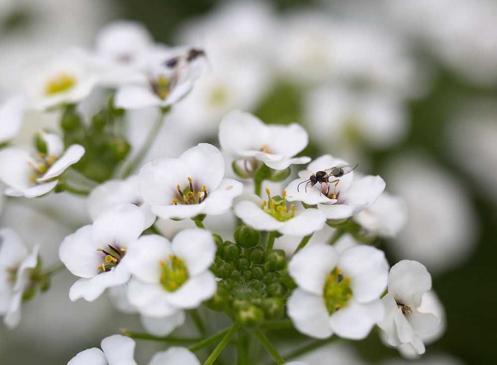 Photograph by Борис Платицин