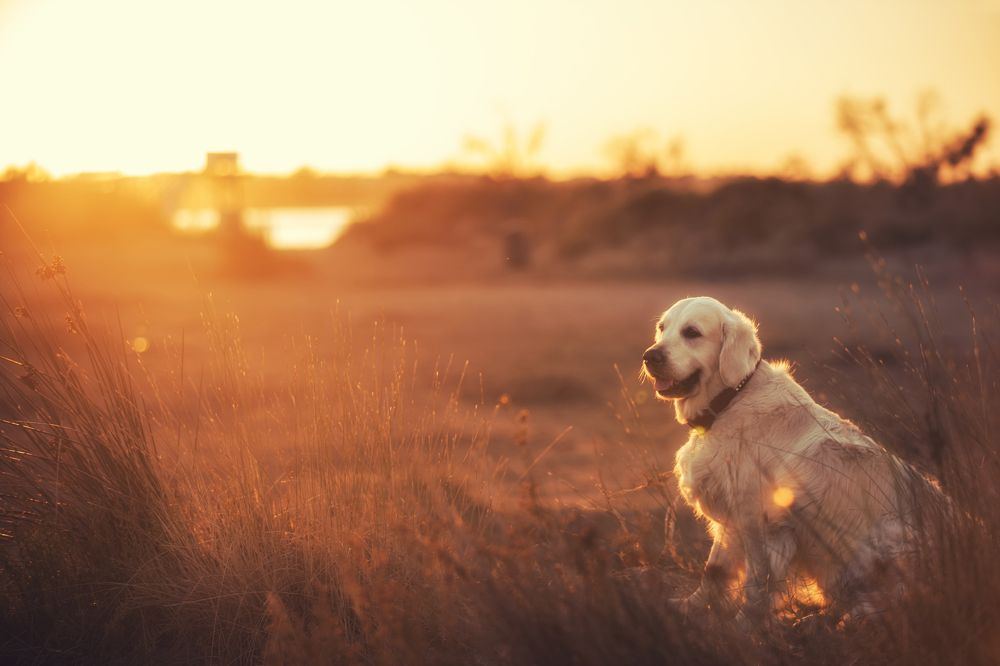 Photograph by Tetyana Vysochanska