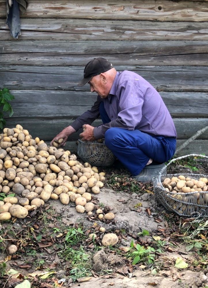 Photograph by Halina Mitsevich