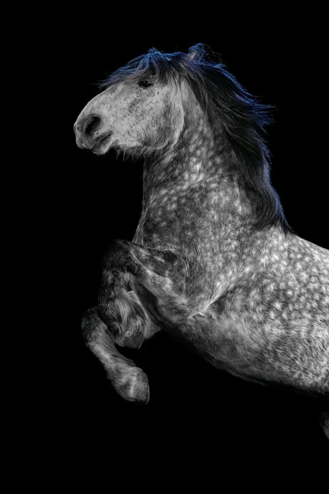 Photograph by Tetyana Vysochanska