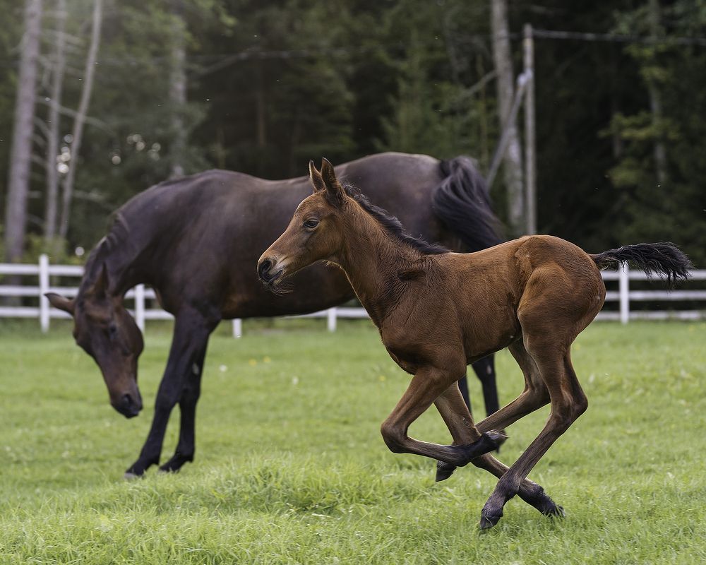 Photograph by Anna Sindikayeva