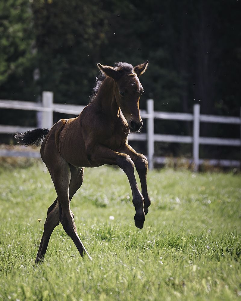 Photograph by Anna Sindikayeva