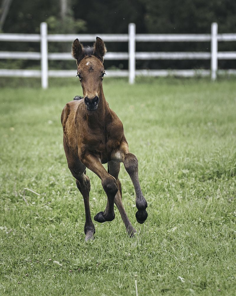 Photograph by Anna Sindikayeva