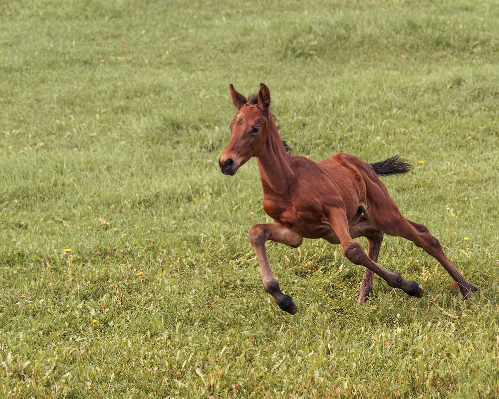 Photograph by Anna Sindikayeva