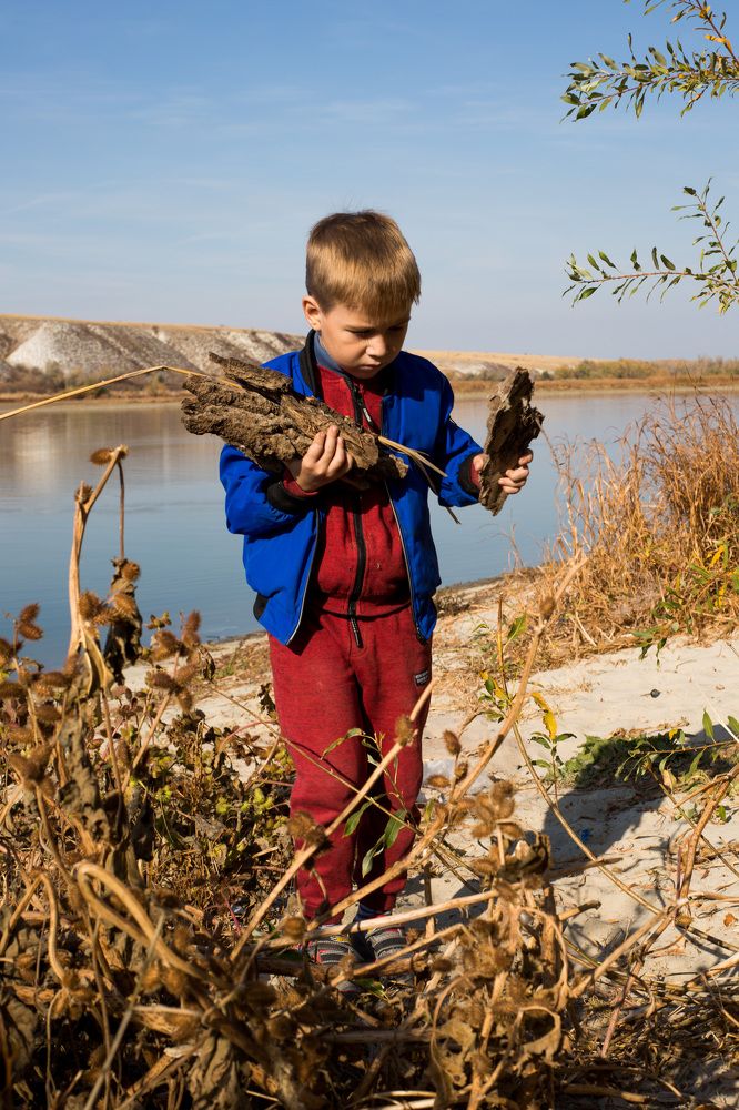 Photograph by Ткаченко Мария