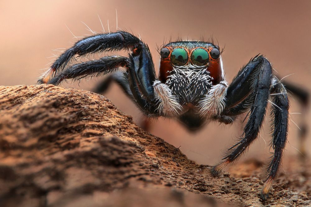 Фотография автора Tran Anh Tuan