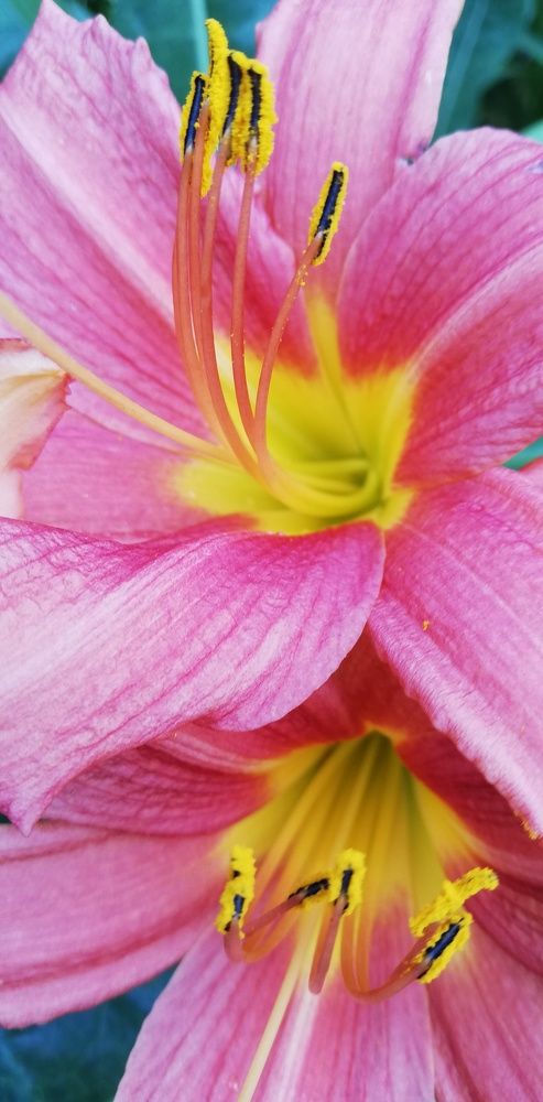 Photograph by Лариса Неудачина