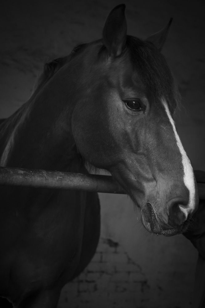 Photograph by Irina Stroh