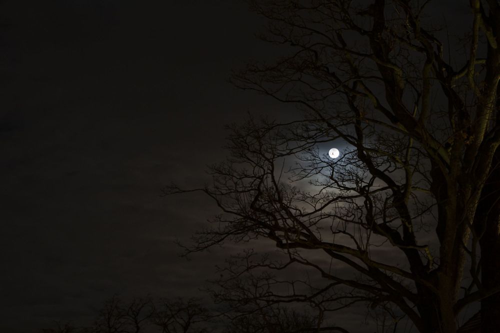 Photograph by Irina Stroh