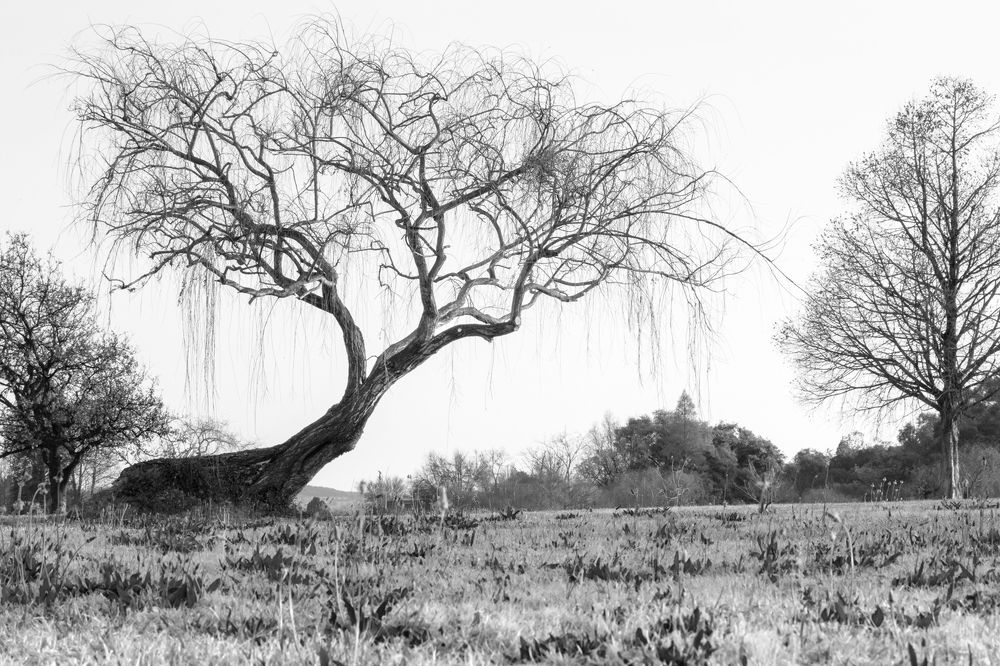 Photograph by Kenny Mthethwa