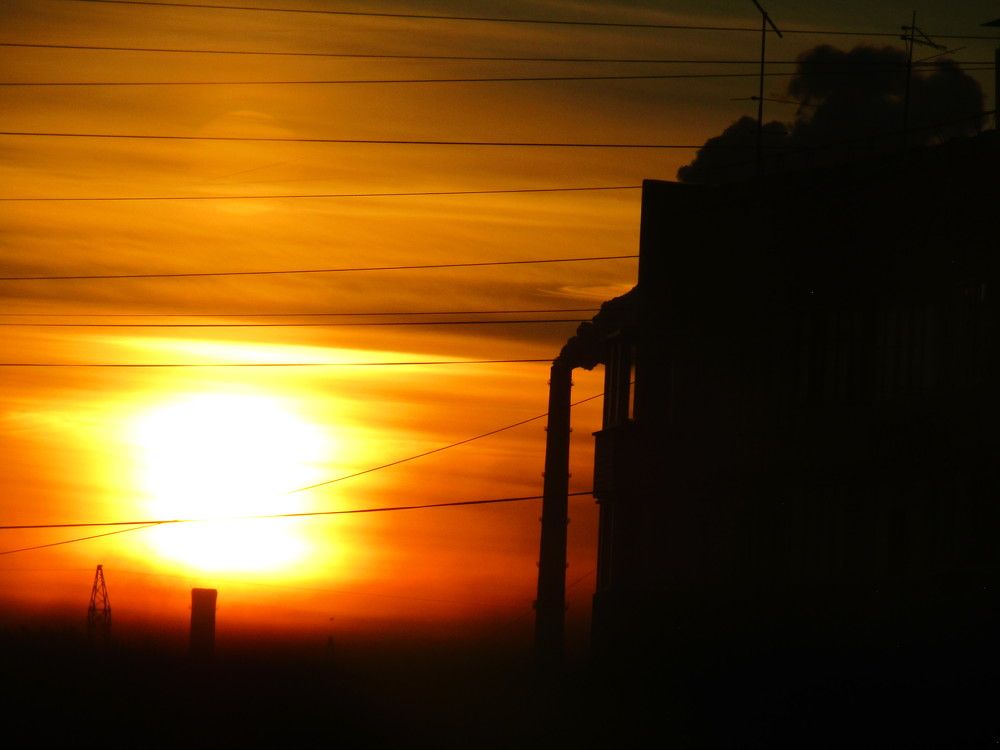 Photo #9556240